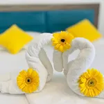 ゲストハウス Pensiunea Casid