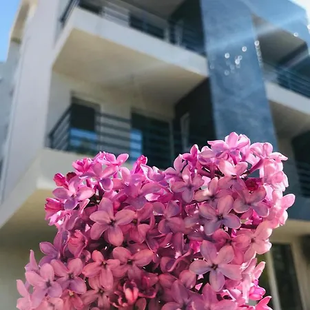 Pensiunea Casid Pensjonat 3*