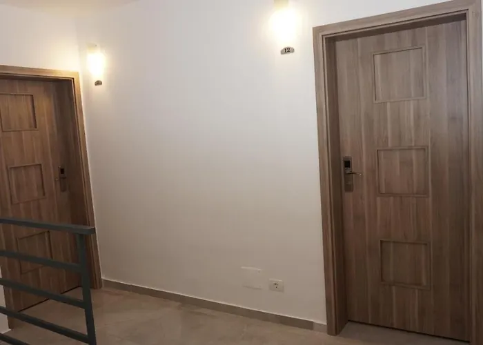 招待所 Pensiunea Casid 3*