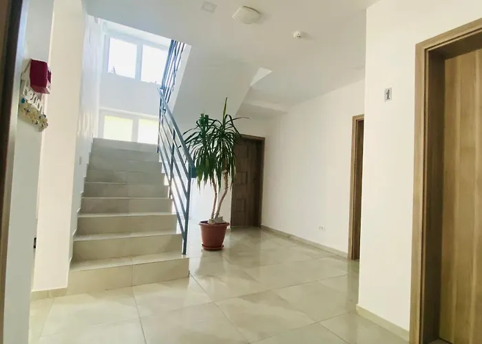 招待所 Pensiunea Casid 3*