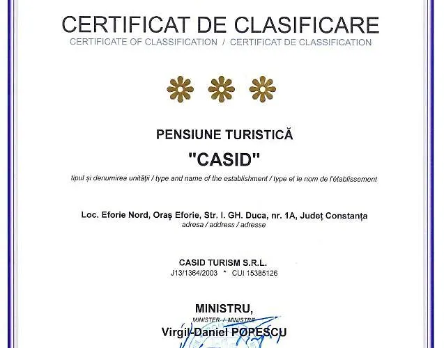 Pensiunea Casid 3* 艾福雷诺德