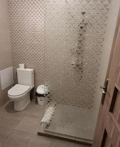 Pensiunea Casid 招待所 3*