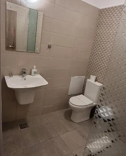 招待所 Pensiunea Casid 艾福雷诺德