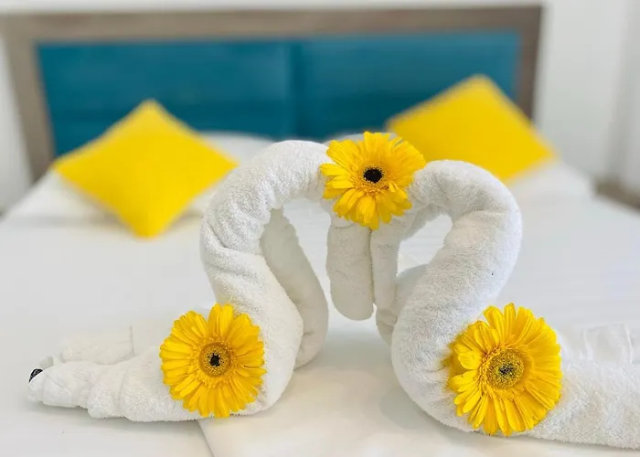 Casa de hóspedes Pensiunea Casid