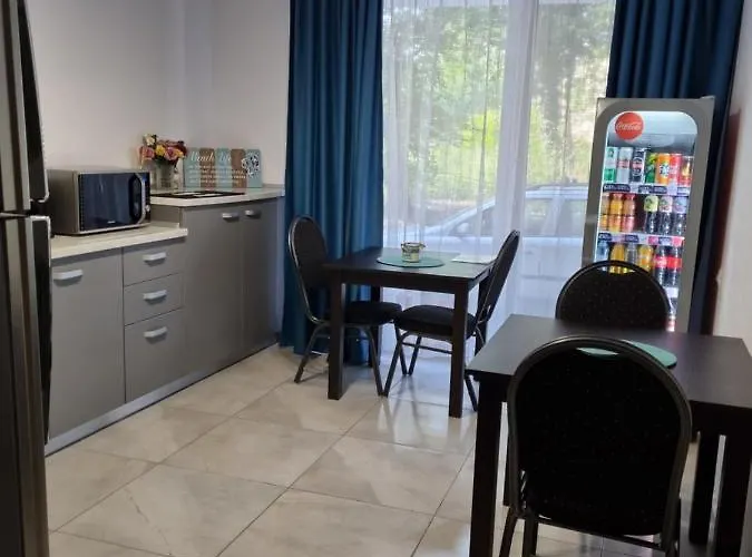 Pensiunea Casid 招待所 3*