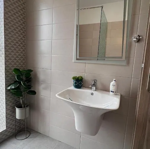 招待所 Pensiunea Casid 艾福雷诺德