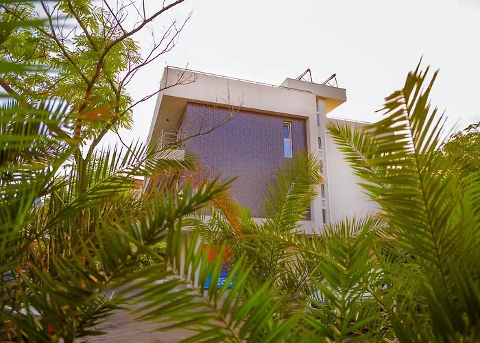 招待所 Pensiunea Casid