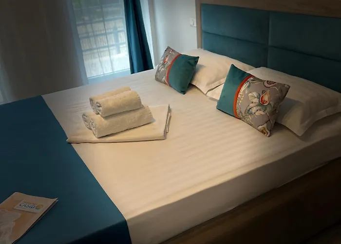 Pensiunea Casid 3* 艾福雷诺德