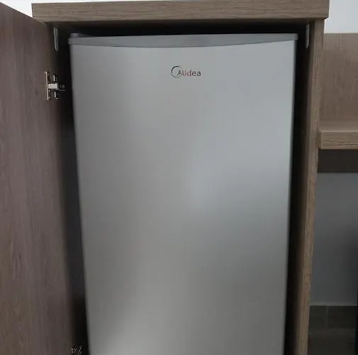 招待所 Pensiunea Casid 艾福雷诺德